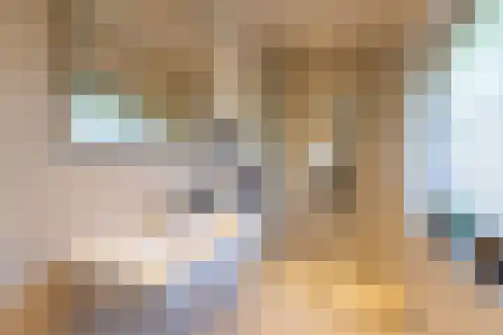 Philips van Dorplaan 17 Schipluiden thumbnail 40