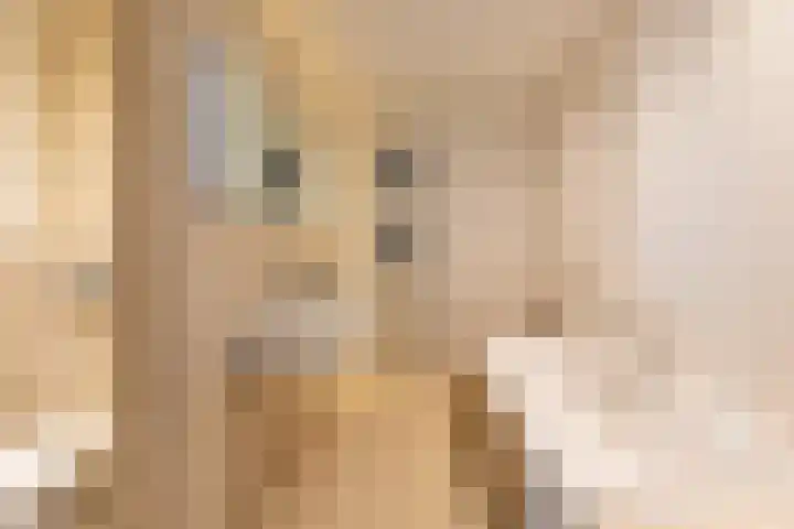 Philips van Dorplaan 17 Schipluiden thumbnail 45