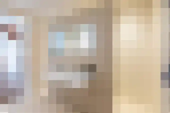 Philips van Dorplaan 17 Schipluiden thumbnail 47