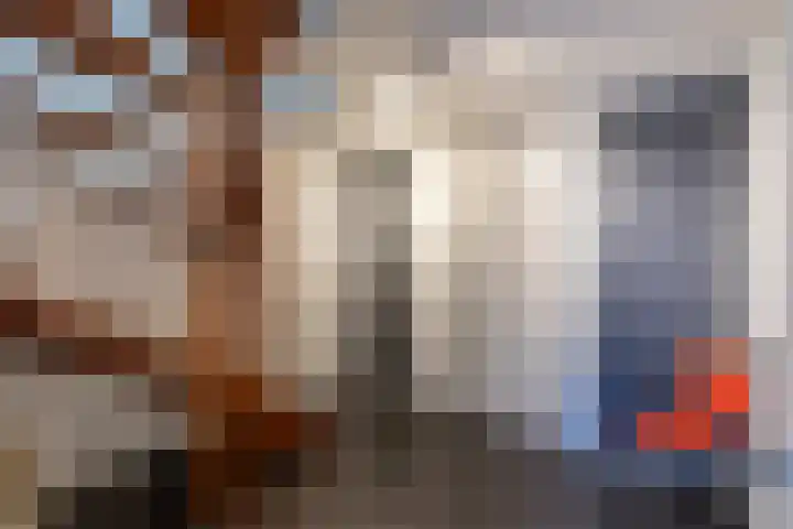 Philips van Dorplaan 17 Schipluiden thumbnail 51