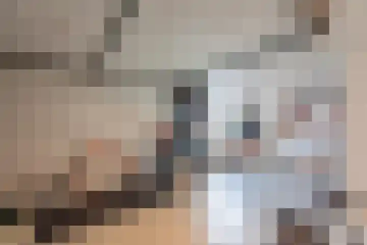 Philips van Dorplaan 17 Schipluiden thumbnail 54