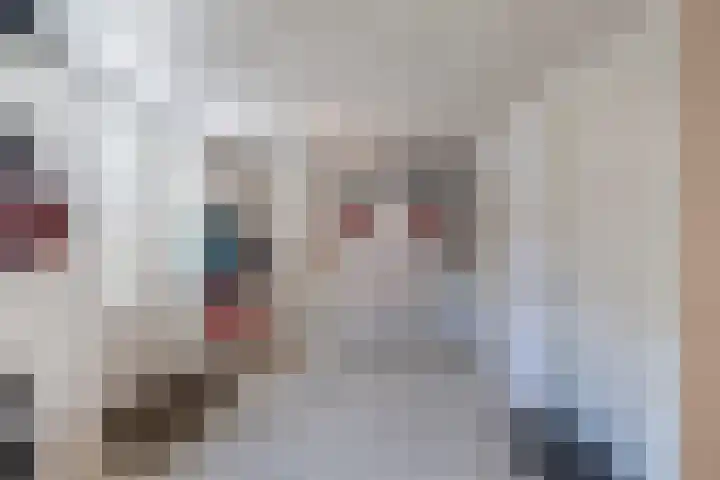 Philips van Dorplaan 17 Schipluiden thumbnail 55