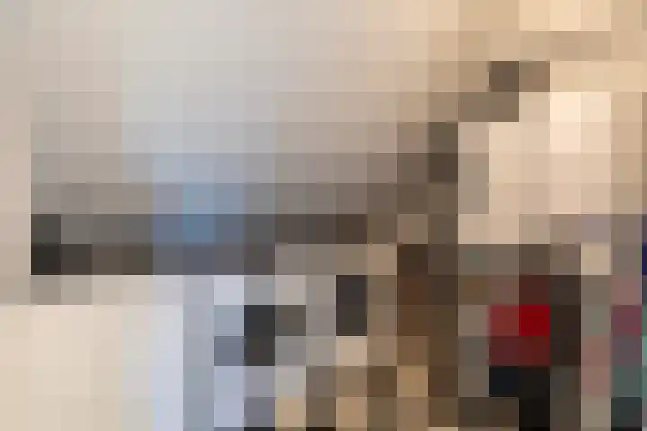 Philips van Dorplaan 17 Schipluiden thumbnail 57