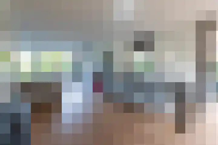 Philips van Dorplaan 17 Schipluiden thumbnail 6