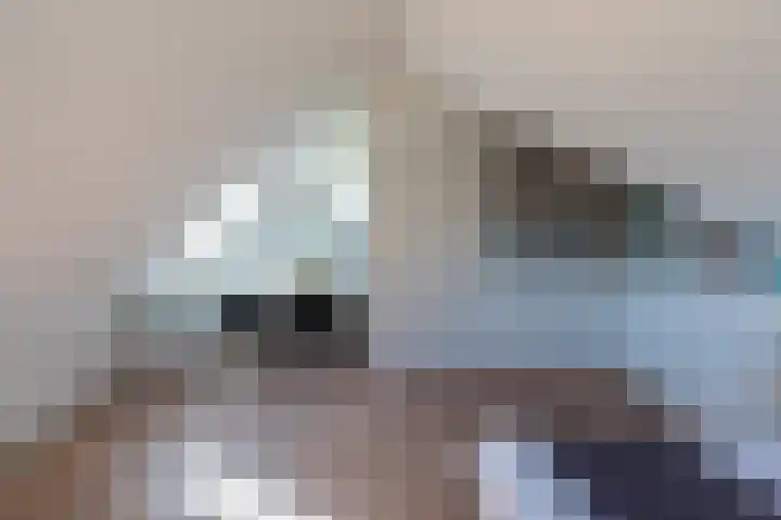 Philips van Dorplaan 17 Schipluiden thumbnail 60