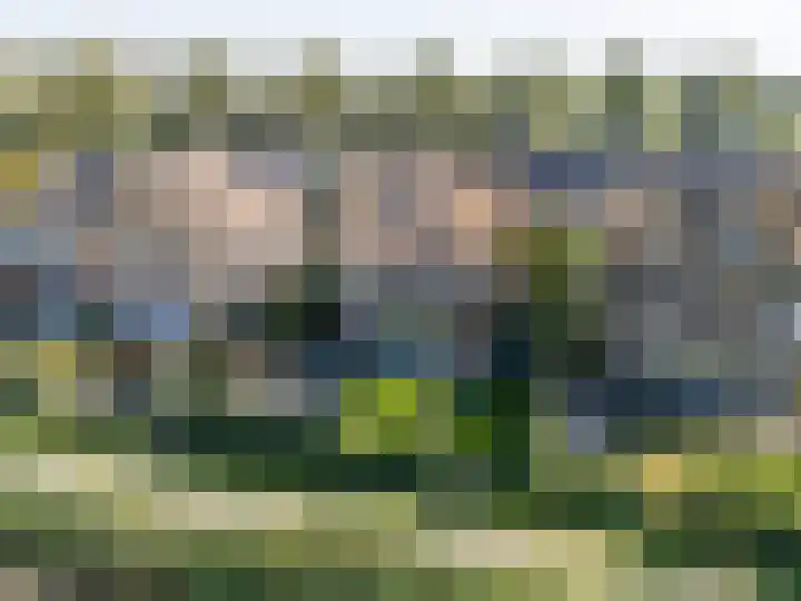 Philips van Dorplaan 17 Schipluiden thumbnail 63