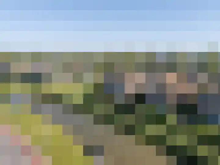 Philips van Dorplaan 17 Schipluiden thumbnail 64