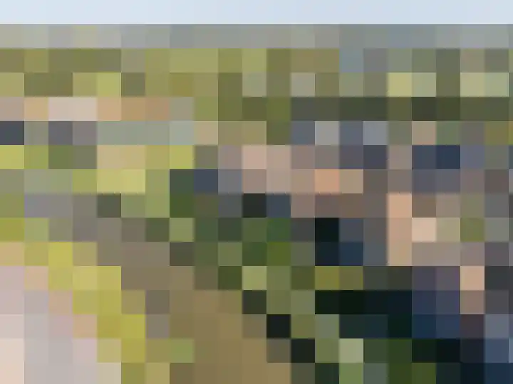 Philips van Dorplaan 17 Schipluiden thumbnail 65
