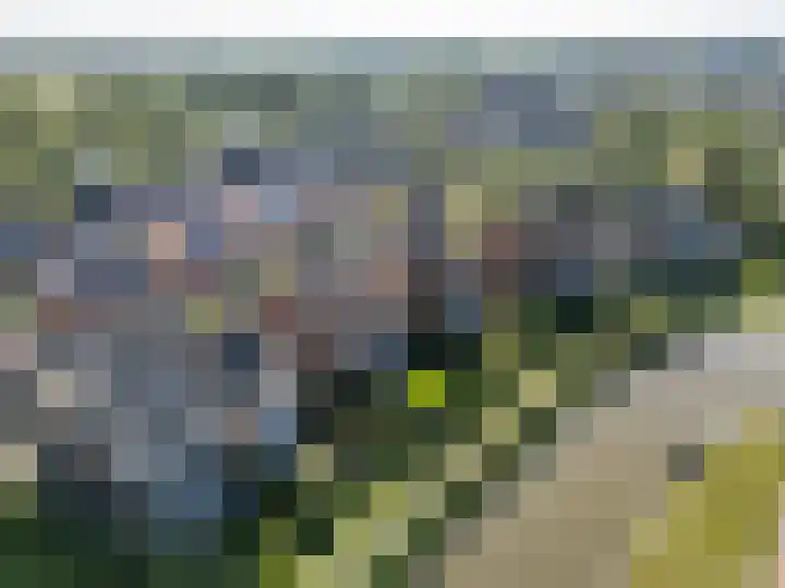 Philips van Dorplaan 17 Schipluiden thumbnail 66