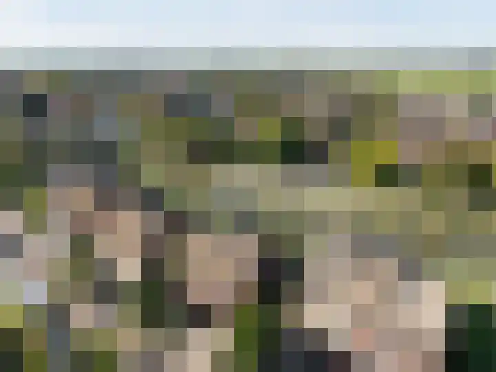 Philips van Dorplaan 17 Schipluiden thumbnail 67