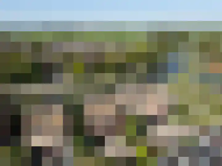 Philips van Dorplaan 17 Schipluiden thumbnail 68