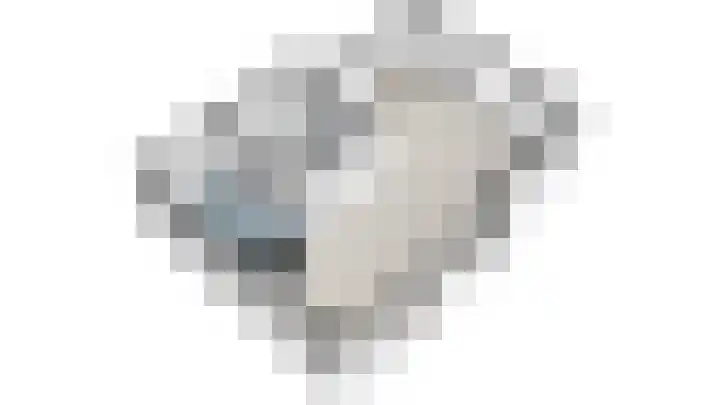 Philips van Dorplaan 17 Schipluiden thumbnail 70