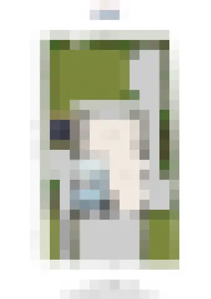 Philips van Dorplaan 17 Schipluiden thumbnail 77
