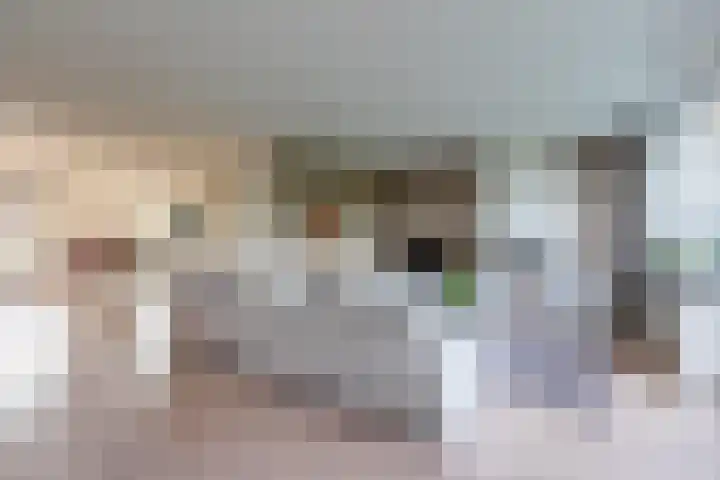 Philips van Dorplaan 17 Schipluiden thumbnail 8