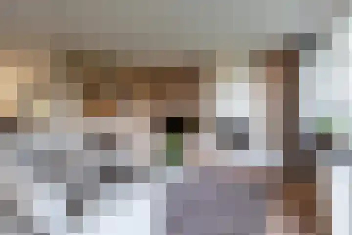 Philips van Dorplaan 17 Schipluiden thumbnail 9
