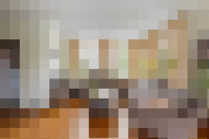 Philips van Dorpstraat 30 Oud-Vossemeer thumbnail 15
