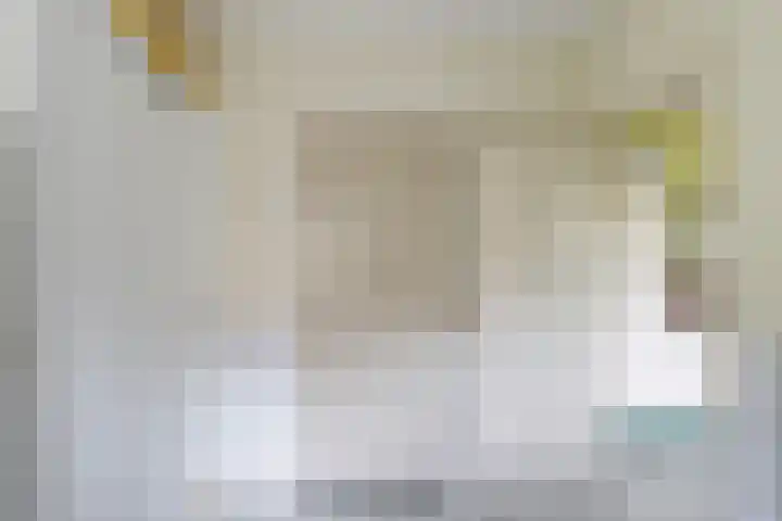 Philips van Dorpstraat 30 Oud-Vossemeer thumbnail 22