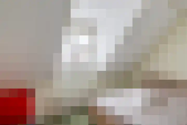 Philips van Dorpstraat 30 Oud-Vossemeer thumbnail 28