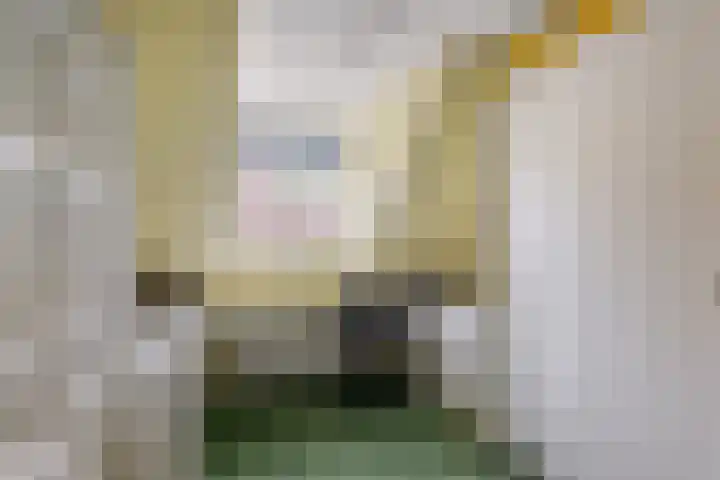 Philips van Dorpstraat 30 Oud-Vossemeer thumbnail 34