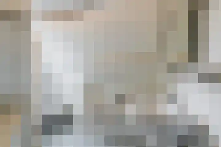 Philips van Dorpstraat 30 Oud-Vossemeer thumbnail 37