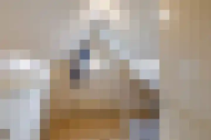 Philips van Dorpstraat 30 Oud-Vossemeer thumbnail 40
