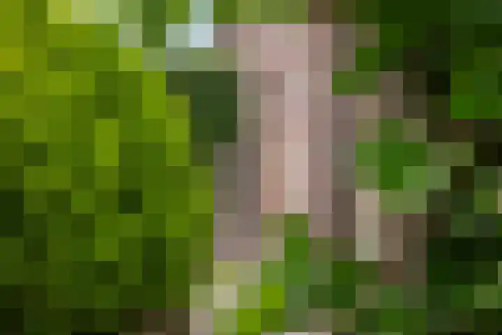 Philips van Dorpstraat 30 Oud-Vossemeer thumbnail 50