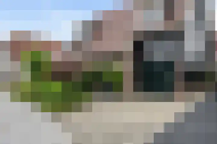 Philips van Dorpstraat 30 Oud-Vossemeer thumbnail 8