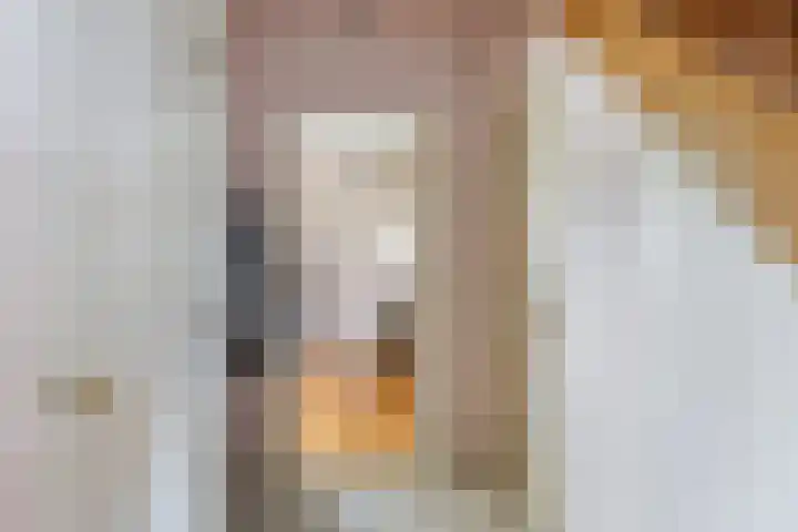 Philips van Dorpstraat 30 Oud-Vossemeer thumbnail 9