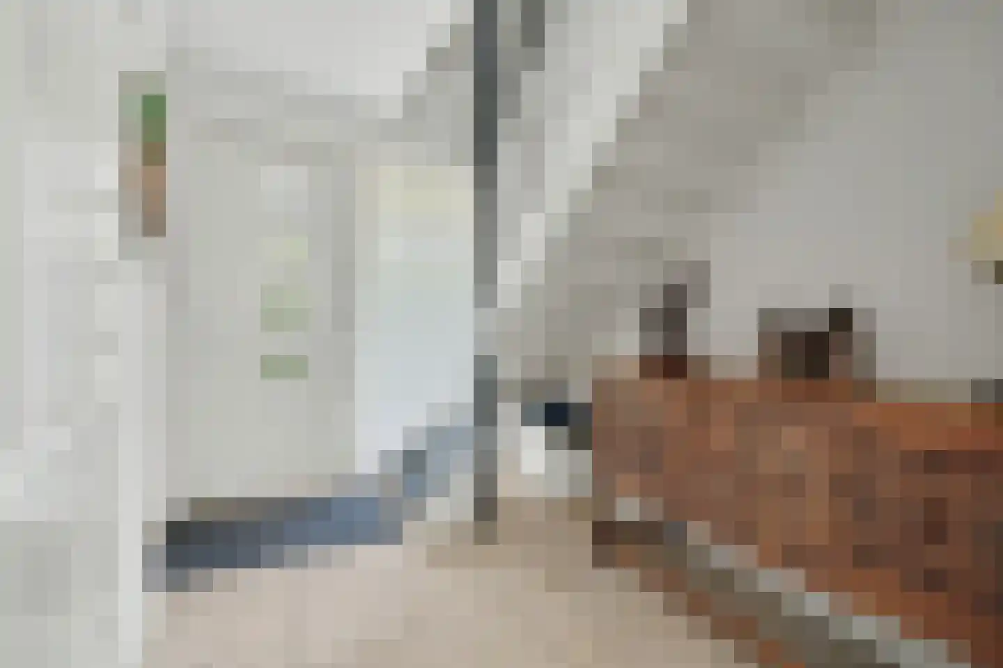 Philips van Dorpstraat 43 Oud-Vossemeer thumbnail 10
