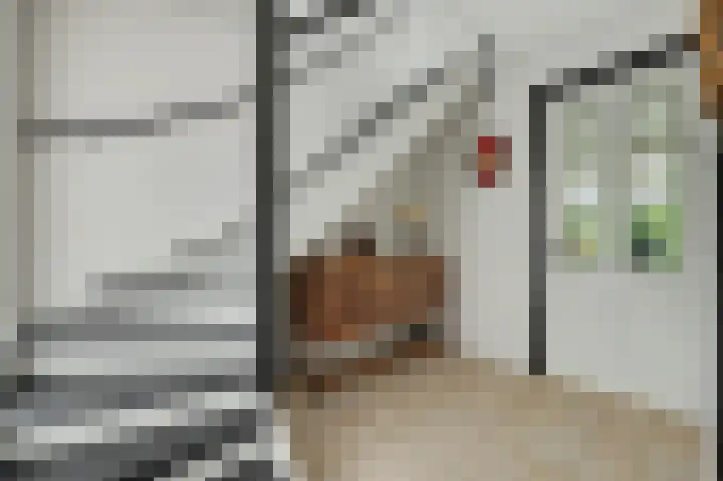 Philips van Dorpstraat 43 Oud-Vossemeer thumbnail 11