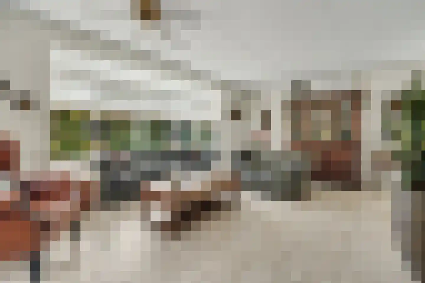 Philips van Dorpstraat 43 Oud-Vossemeer thumbnail 14