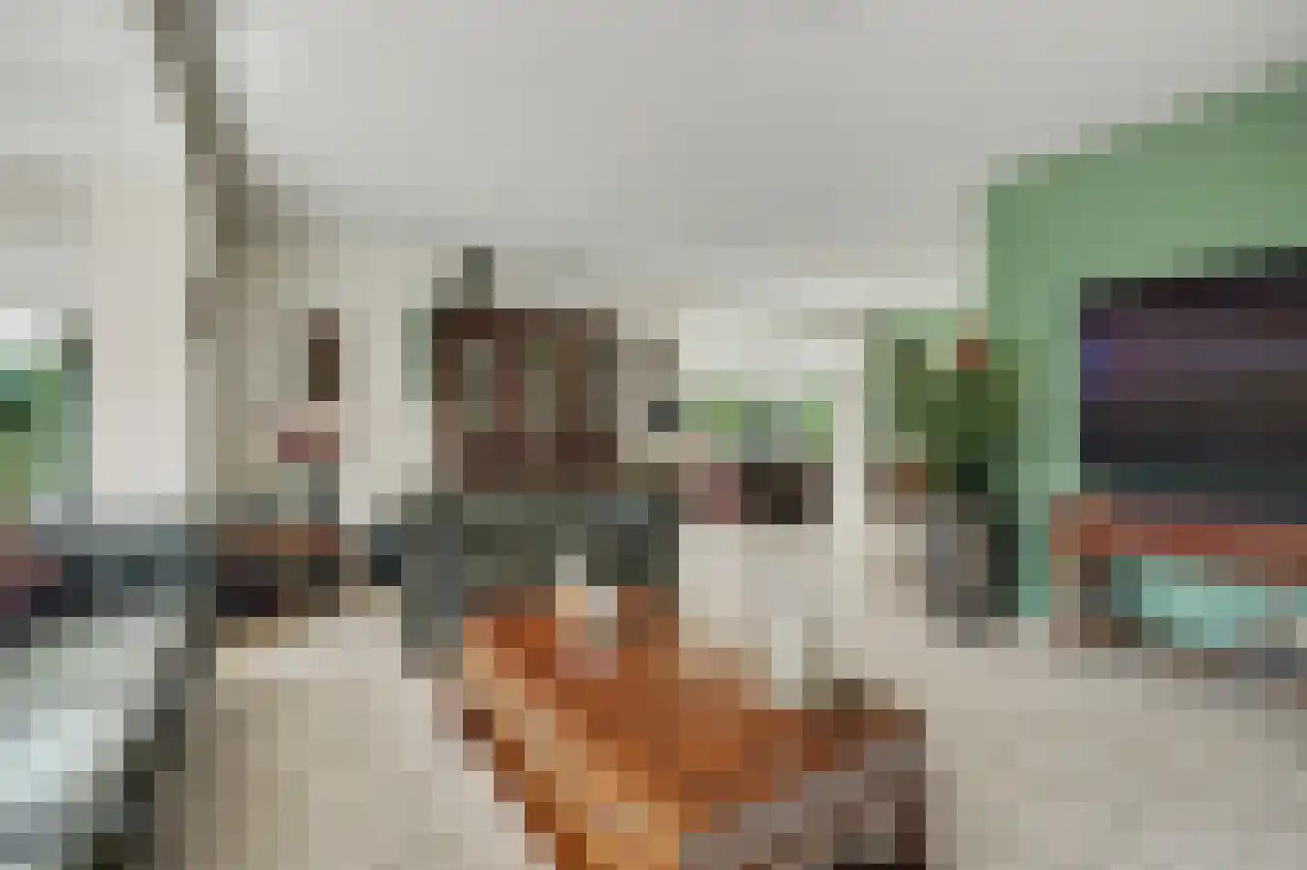 Philips van Dorpstraat 43 Oud-Vossemeer thumbnail 15