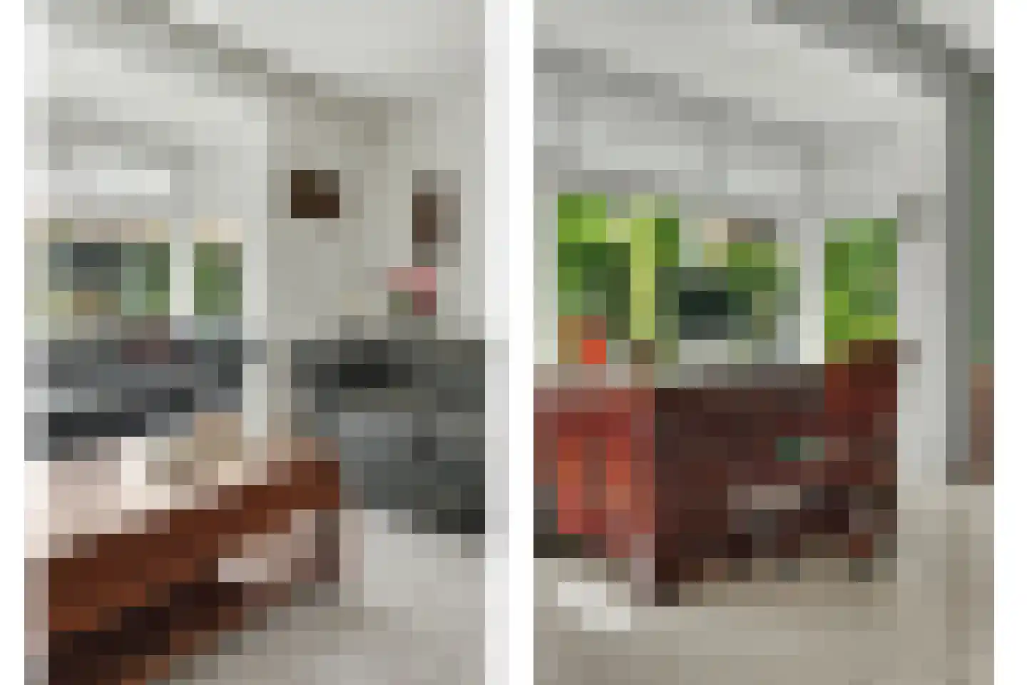 Philips van Dorpstraat 43 Oud-Vossemeer thumbnail 20
