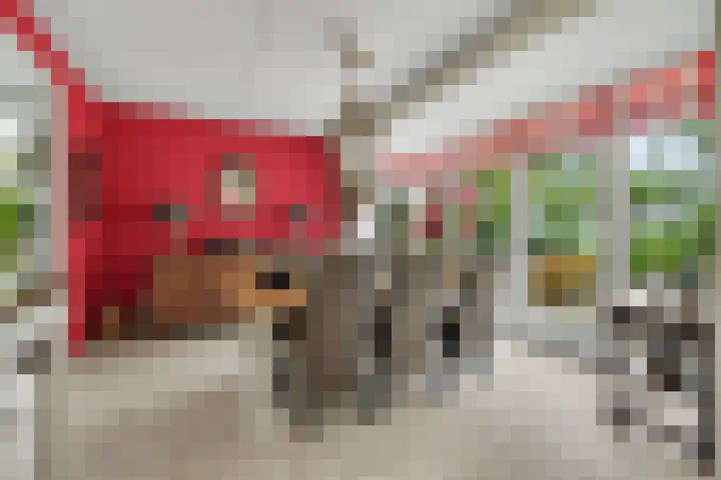 Philips van Dorpstraat 43 Oud-Vossemeer thumbnail 22