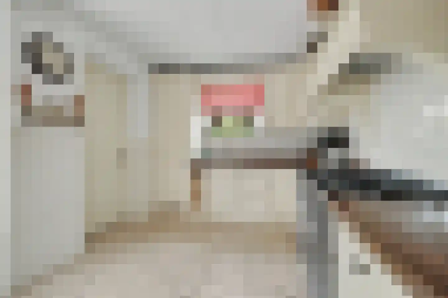 Philips van Dorpstraat 43 Oud-Vossemeer thumbnail 24