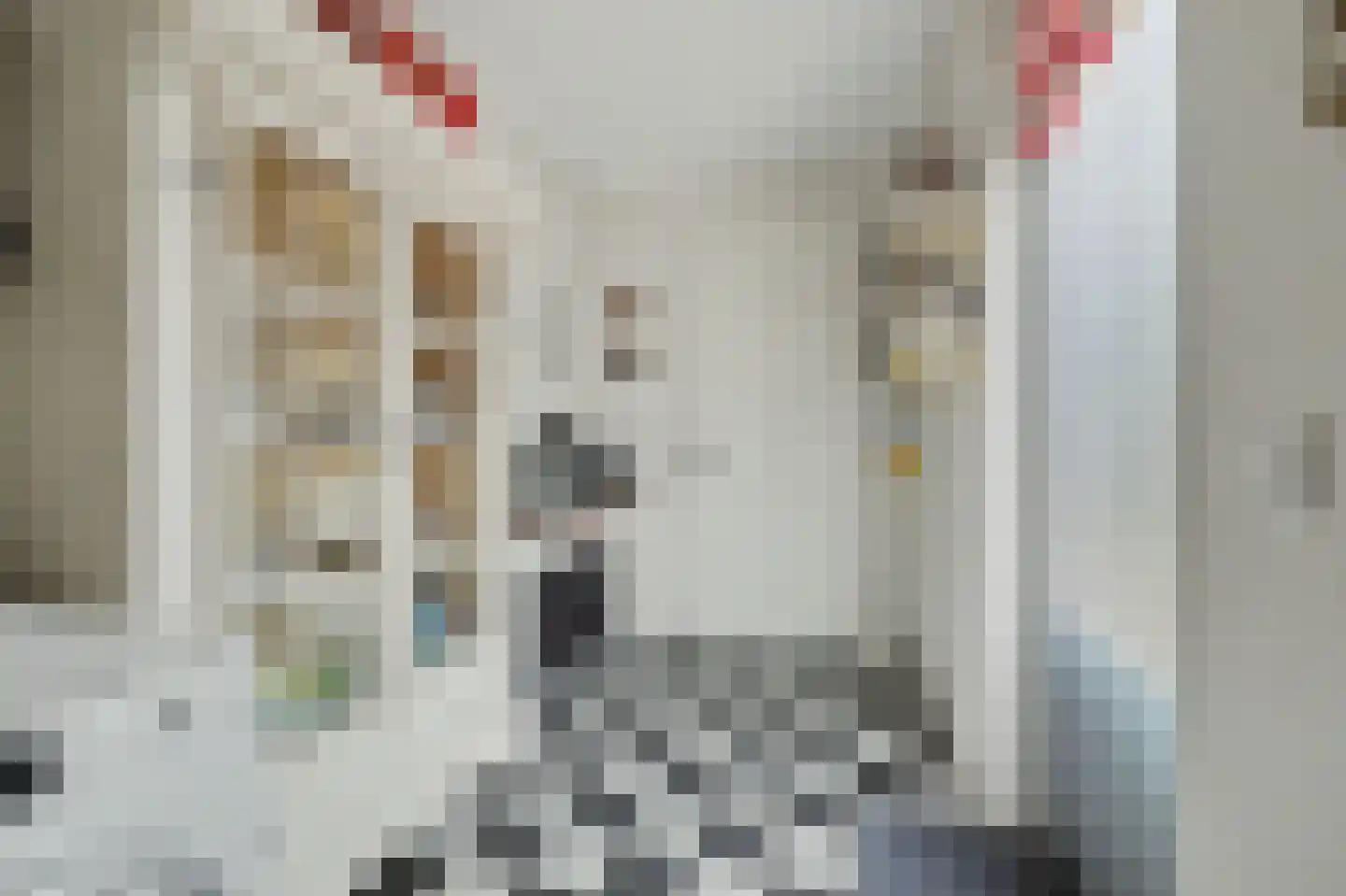 Philips van Dorpstraat 43 Oud-Vossemeer thumbnail 28