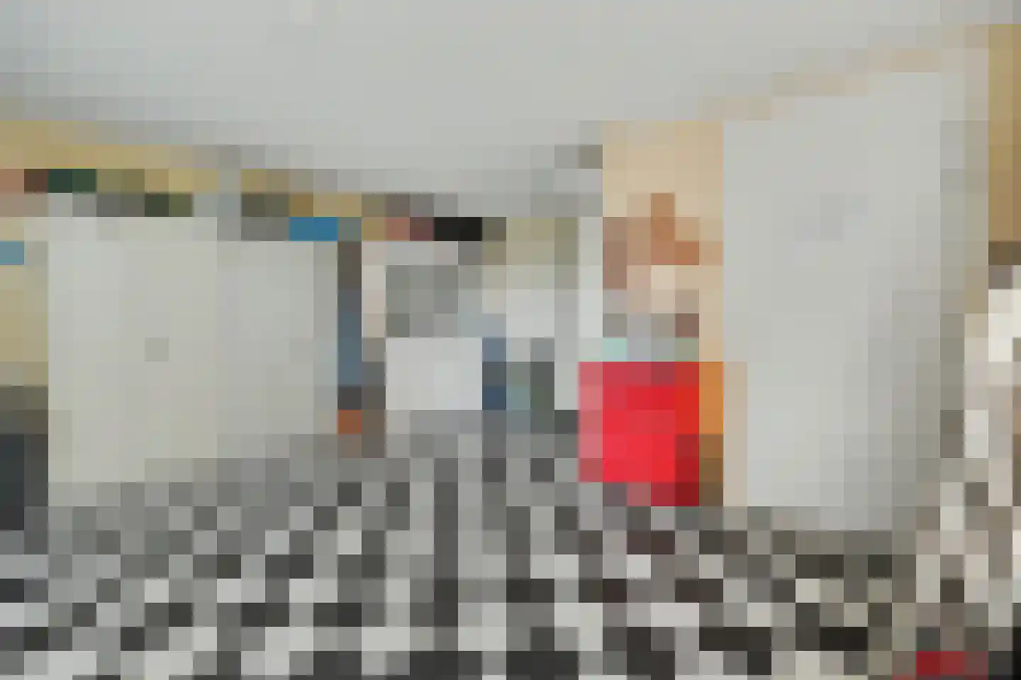Philips van Dorpstraat 43 Oud-Vossemeer thumbnail 29