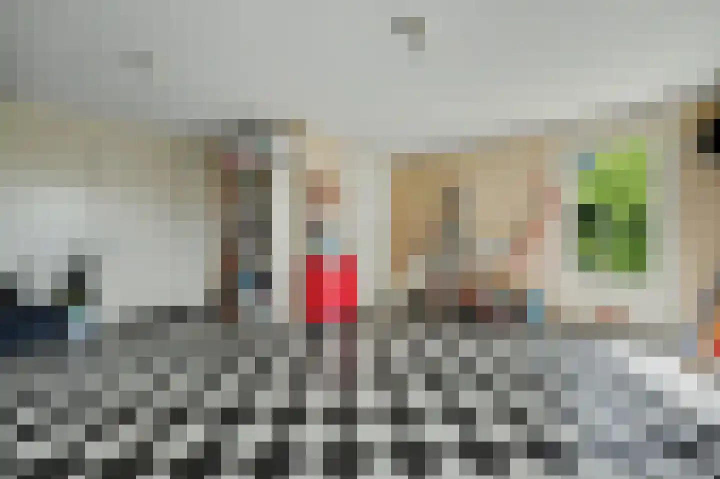 Philips van Dorpstraat 43 Oud-Vossemeer thumbnail 30