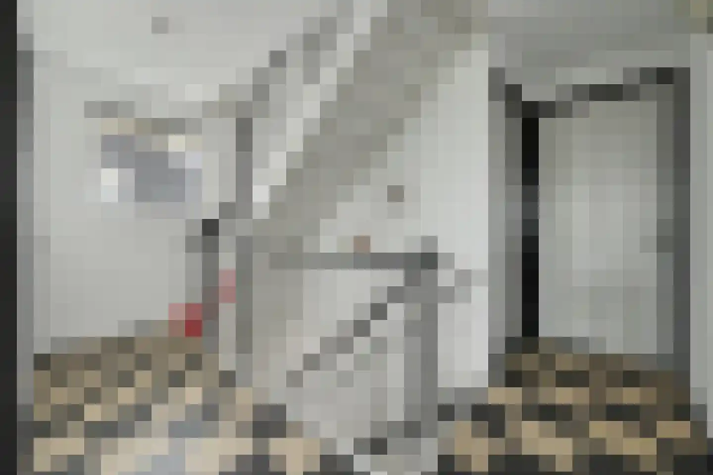 Philips van Dorpstraat 43 Oud-Vossemeer thumbnail 31