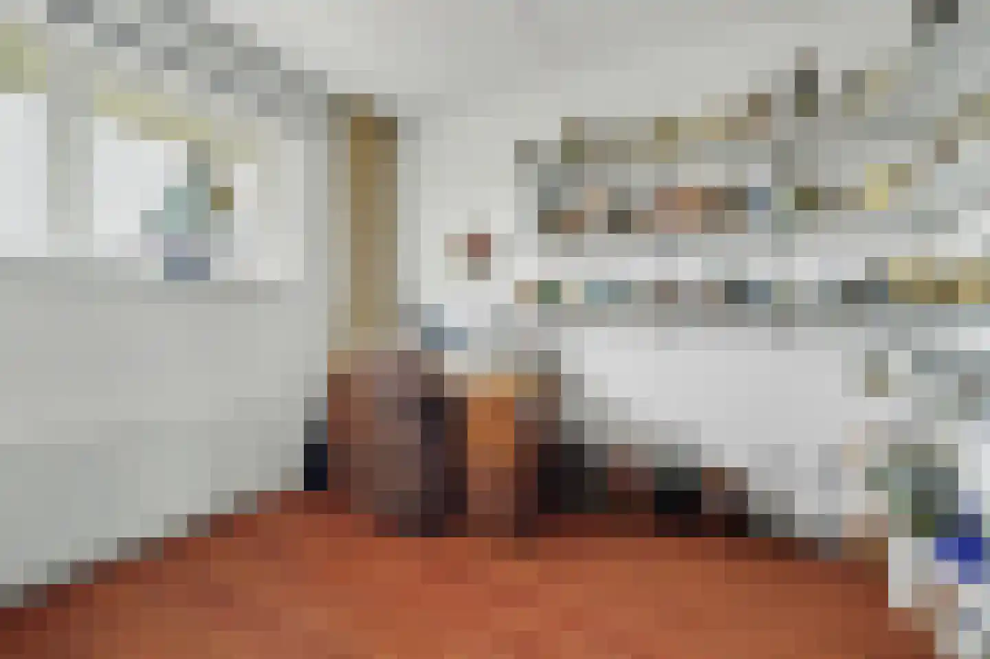 Philips van Dorpstraat 43 Oud-Vossemeer thumbnail 35