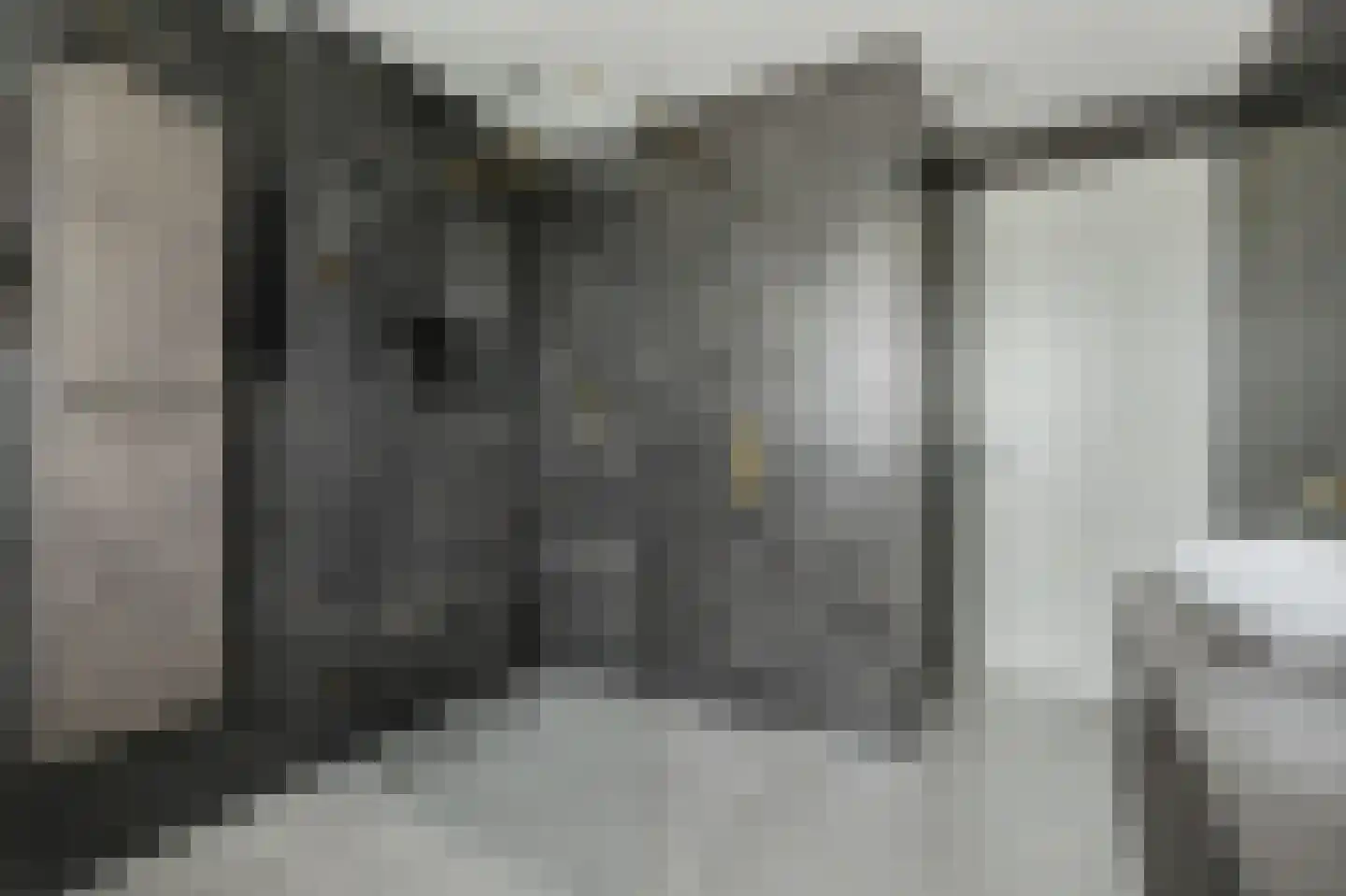 Philips van Dorpstraat 43 Oud-Vossemeer thumbnail 41