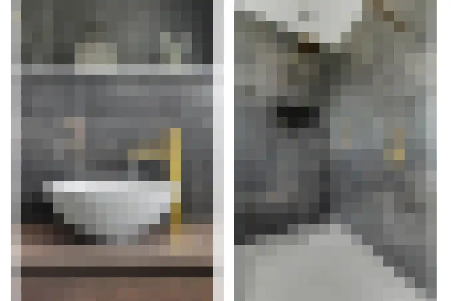 Philips van Dorpstraat 43 Oud-Vossemeer thumbnail 42