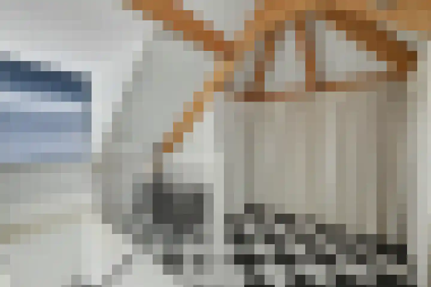 Philips van Dorpstraat 43 Oud-Vossemeer thumbnail 46