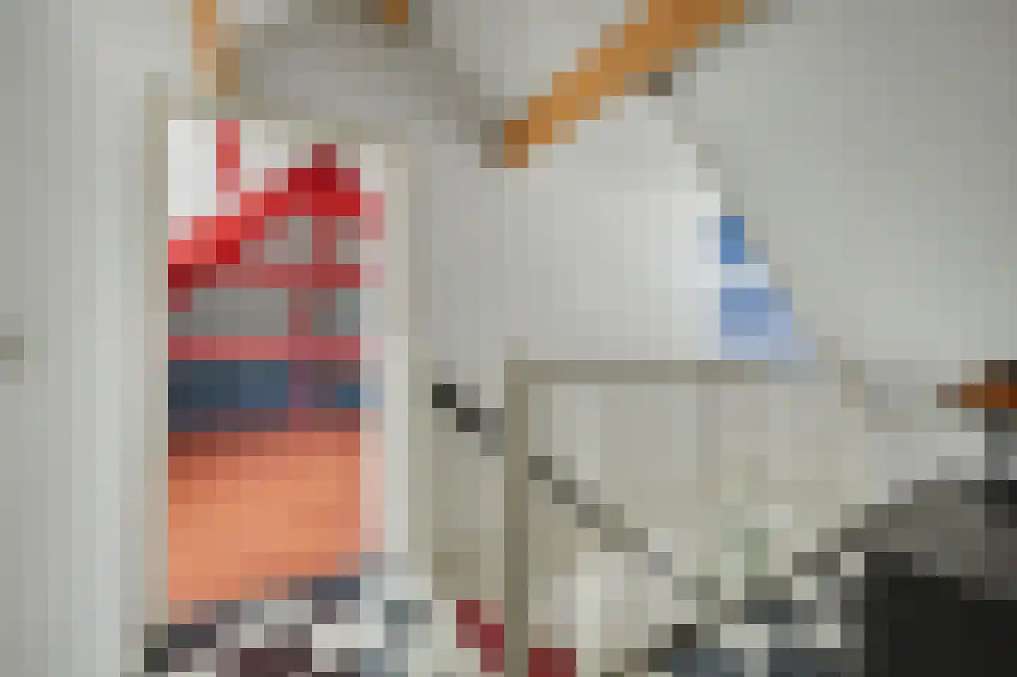Philips van Dorpstraat 43 Oud-Vossemeer thumbnail 47