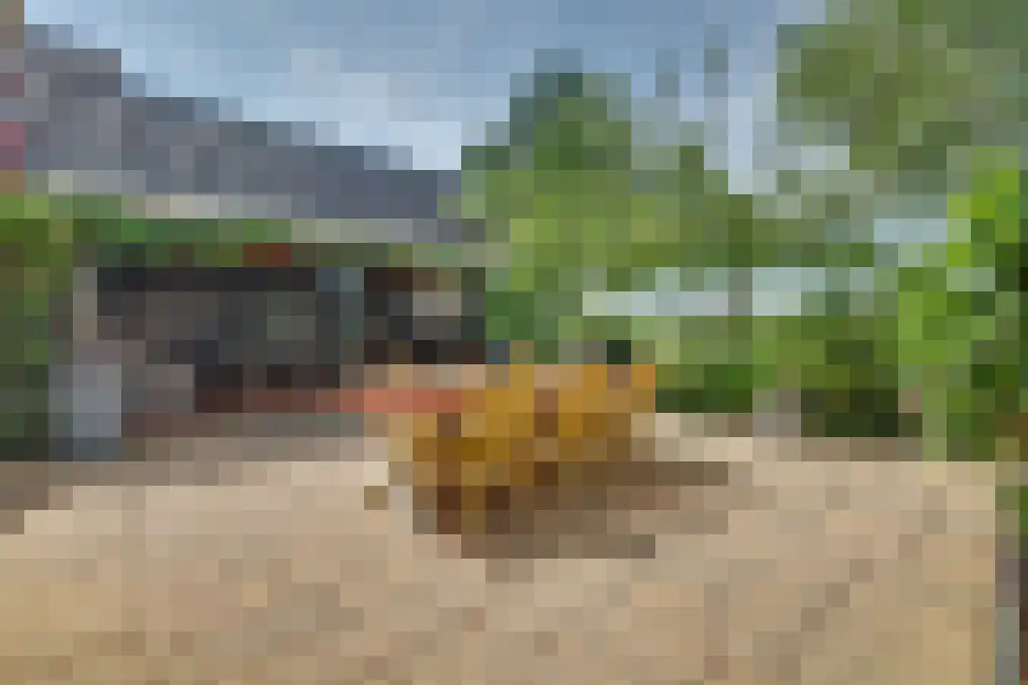 Philips van Dorpstraat 43 Oud-Vossemeer thumbnail 50