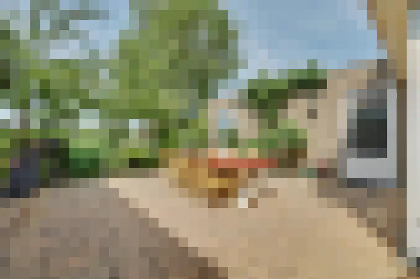 Philips van Dorpstraat 43 Oud-Vossemeer thumbnail 51