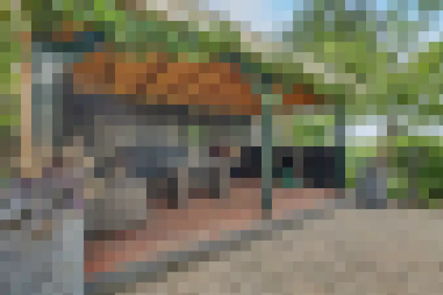 Philips van Dorpstraat 43 Oud-Vossemeer thumbnail 53