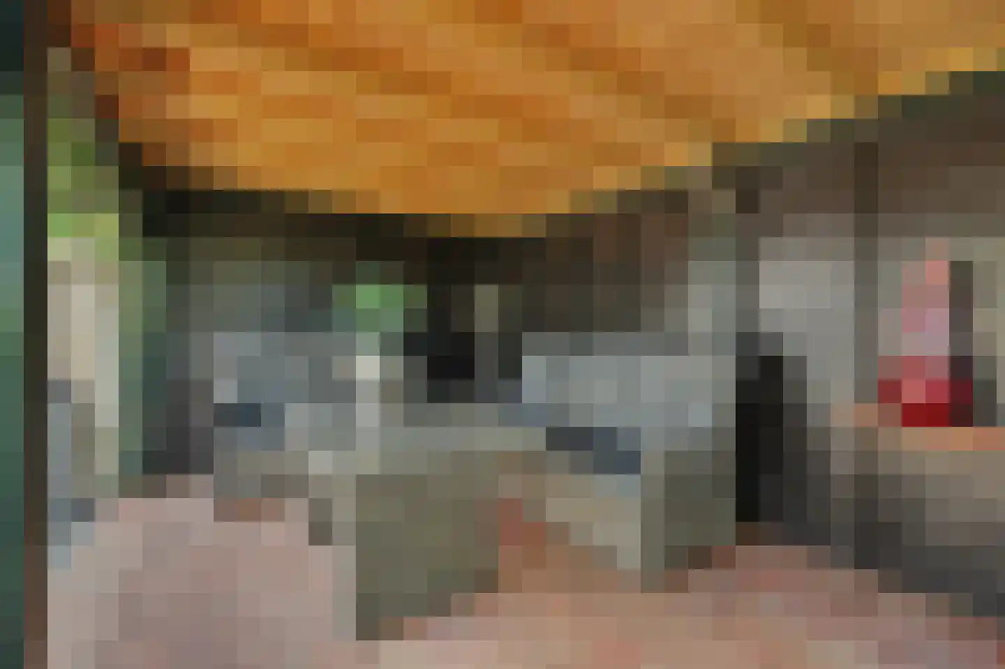 Philips van Dorpstraat 43 Oud-Vossemeer thumbnail 54