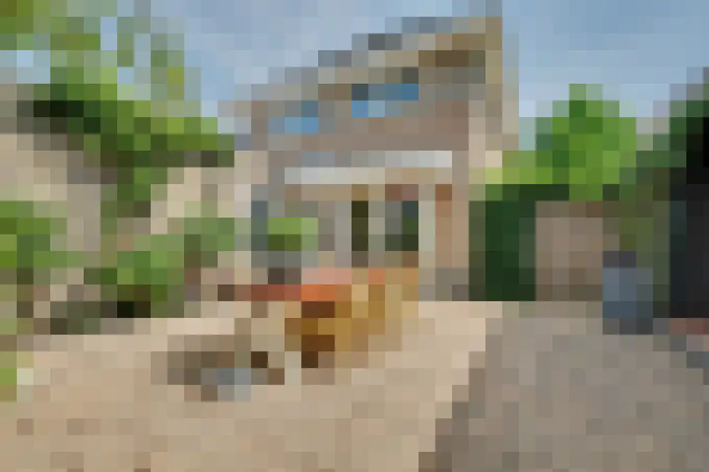 Philips van Dorpstraat 43 Oud-Vossemeer thumbnail 55
