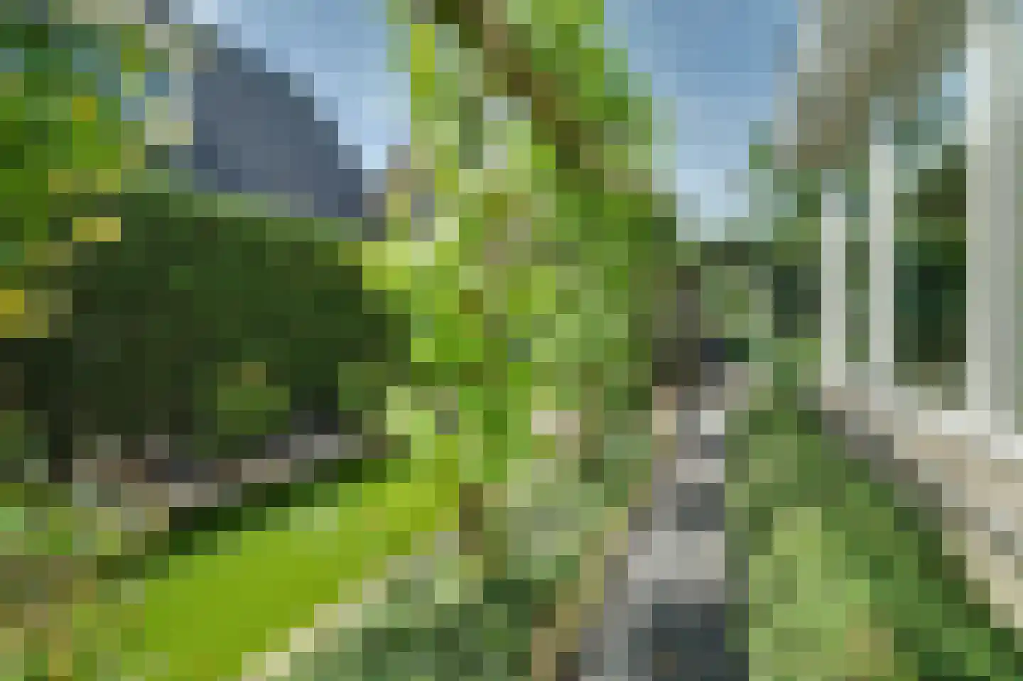 Philips van Dorpstraat 43 Oud-Vossemeer thumbnail 61